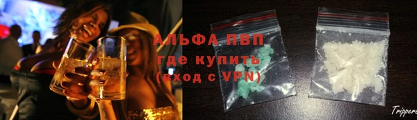прущие грибы Ростов