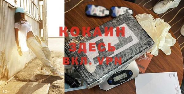 прущие грибы Ростов