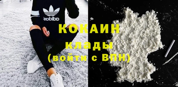 прущие грибы Ростов