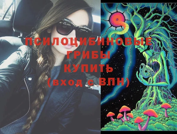 прущие грибы Моршанск