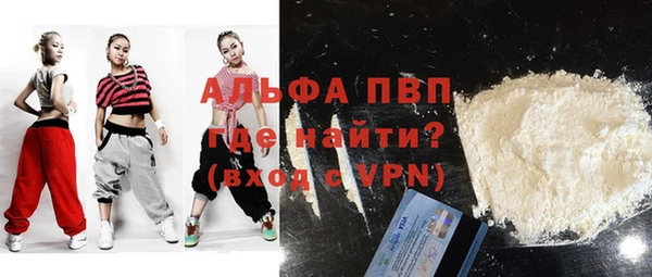 прущие грибы Ростов