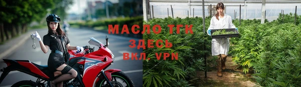 прущие грибы Ростов
